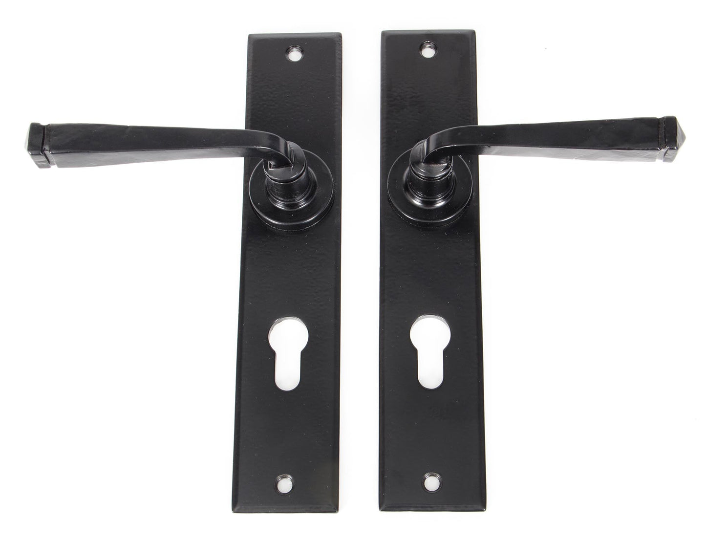 From The Anvil Large Avon Lever Euro Lock Set