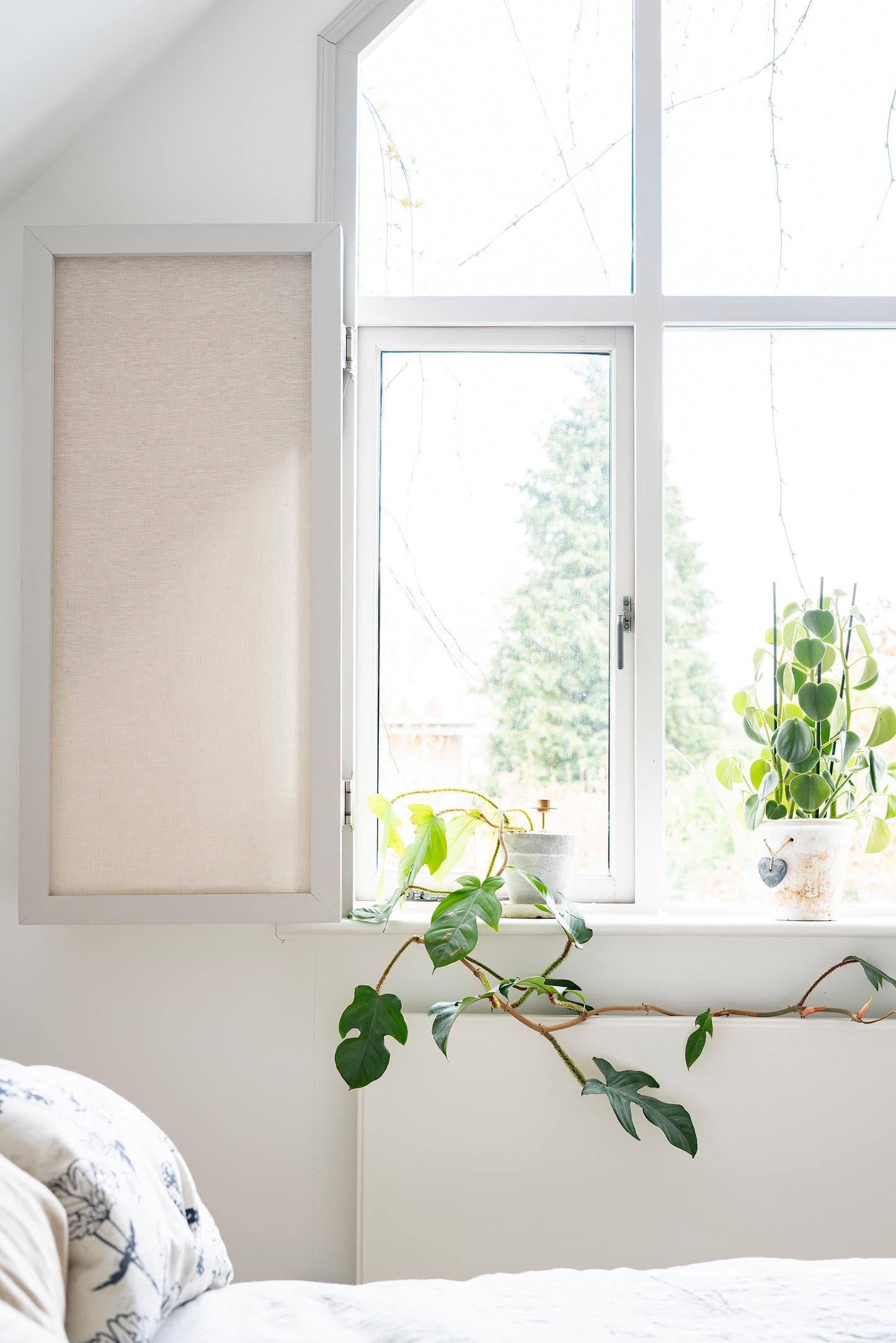 From The Anvil Brompton Espag