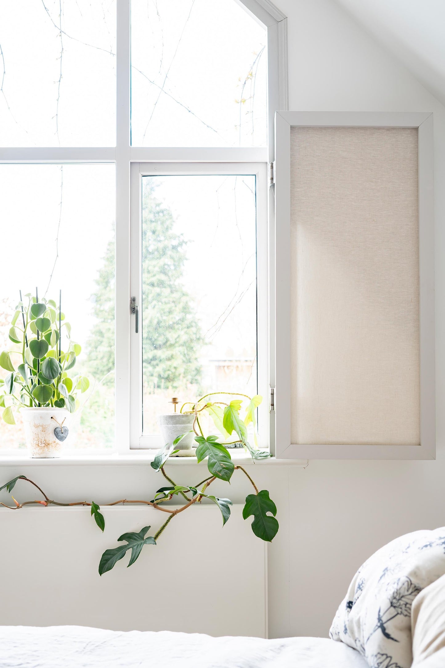 From The Anvil Brompton Espag