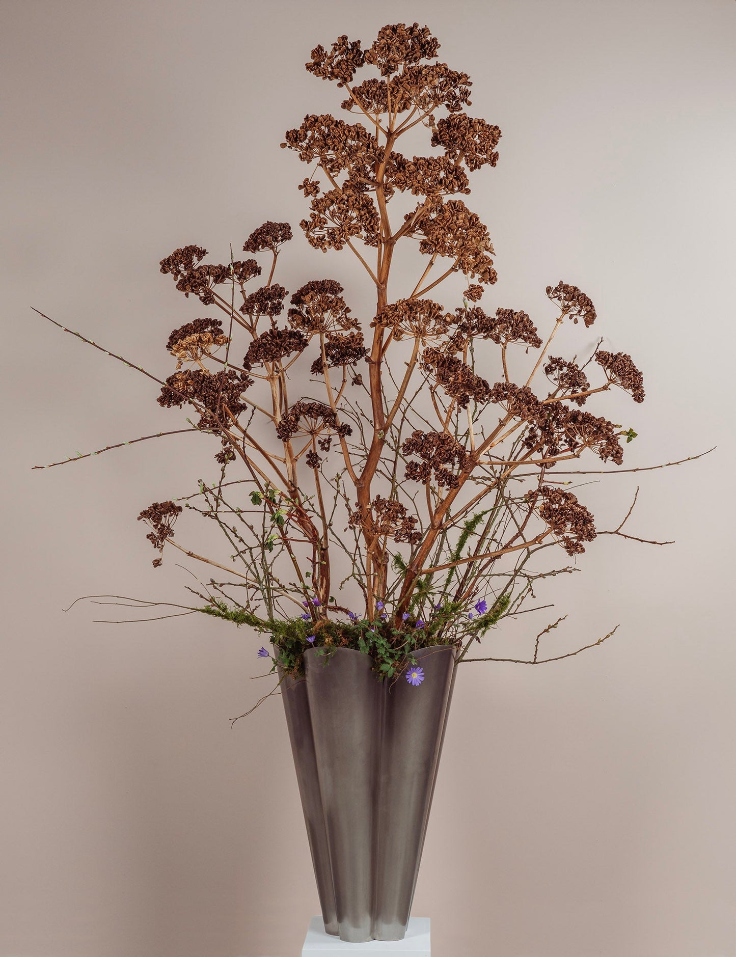 From The Anvil Stainless Steel Flora Plant Pot