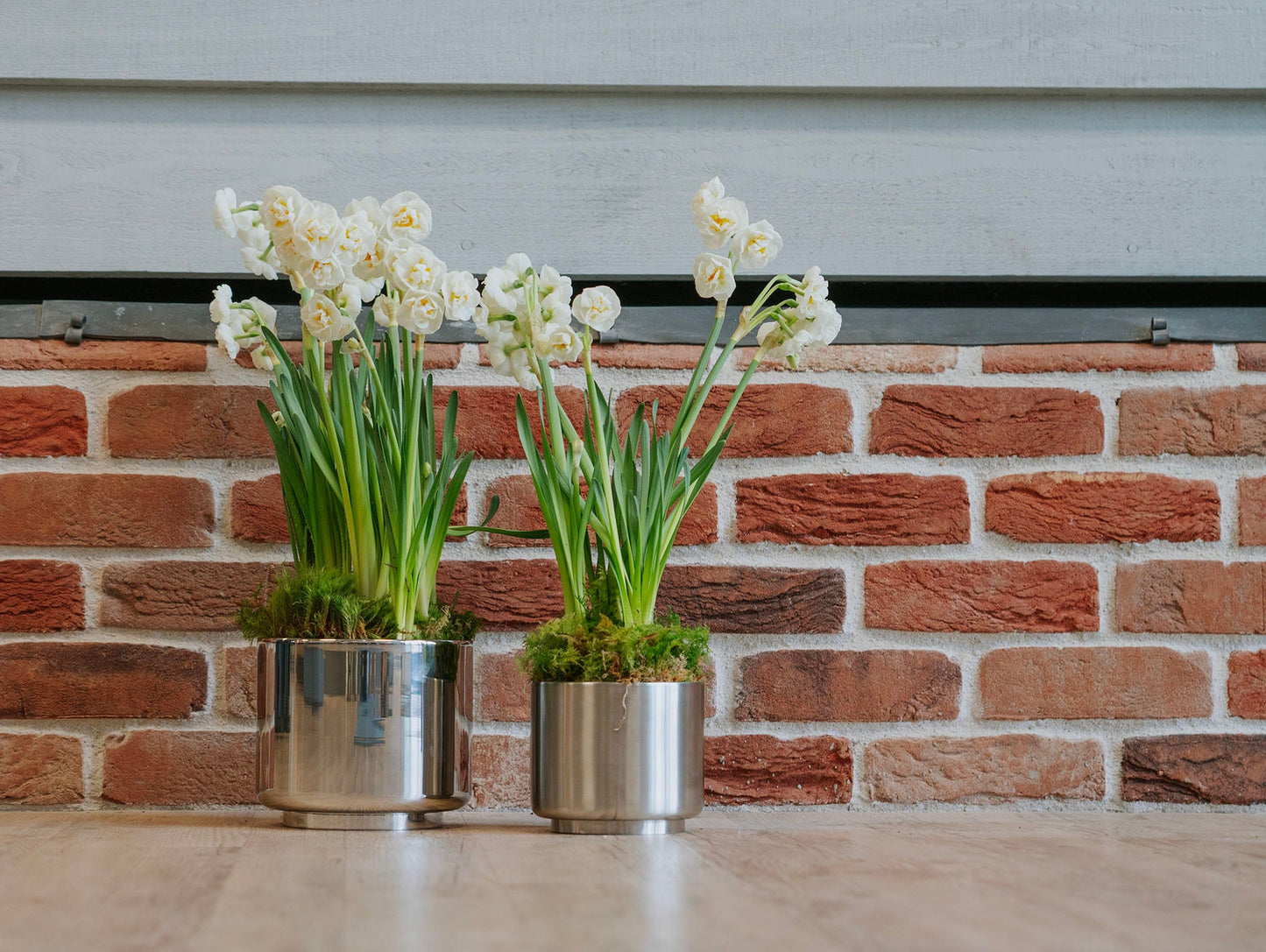 From The Anvil Newlyn Pot