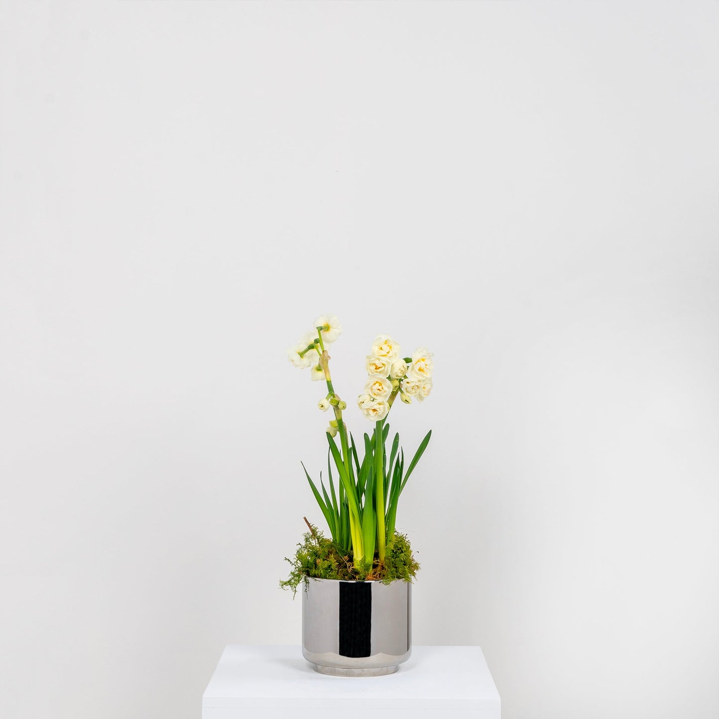 From The Anvil Newlyn Pot