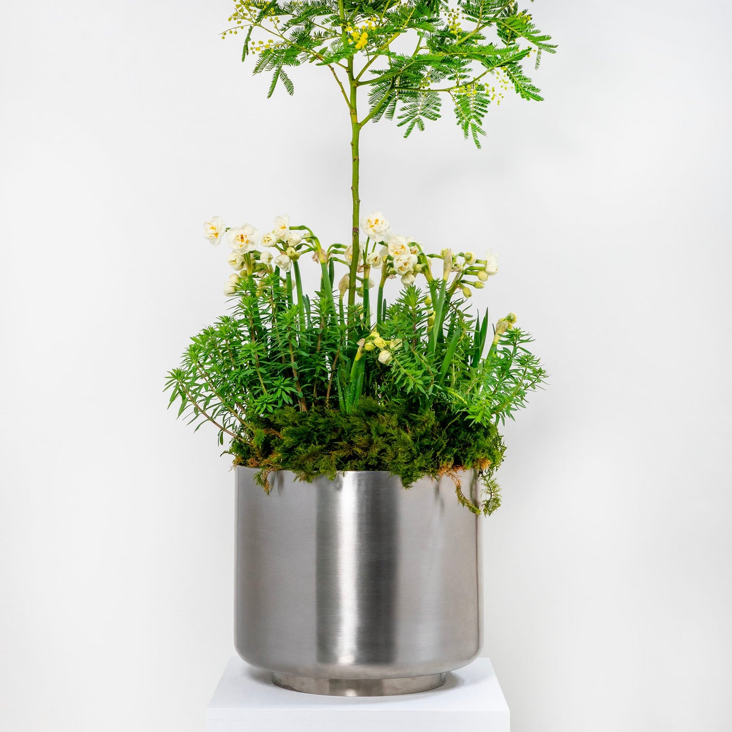 From The Anvil Newlyn Pot