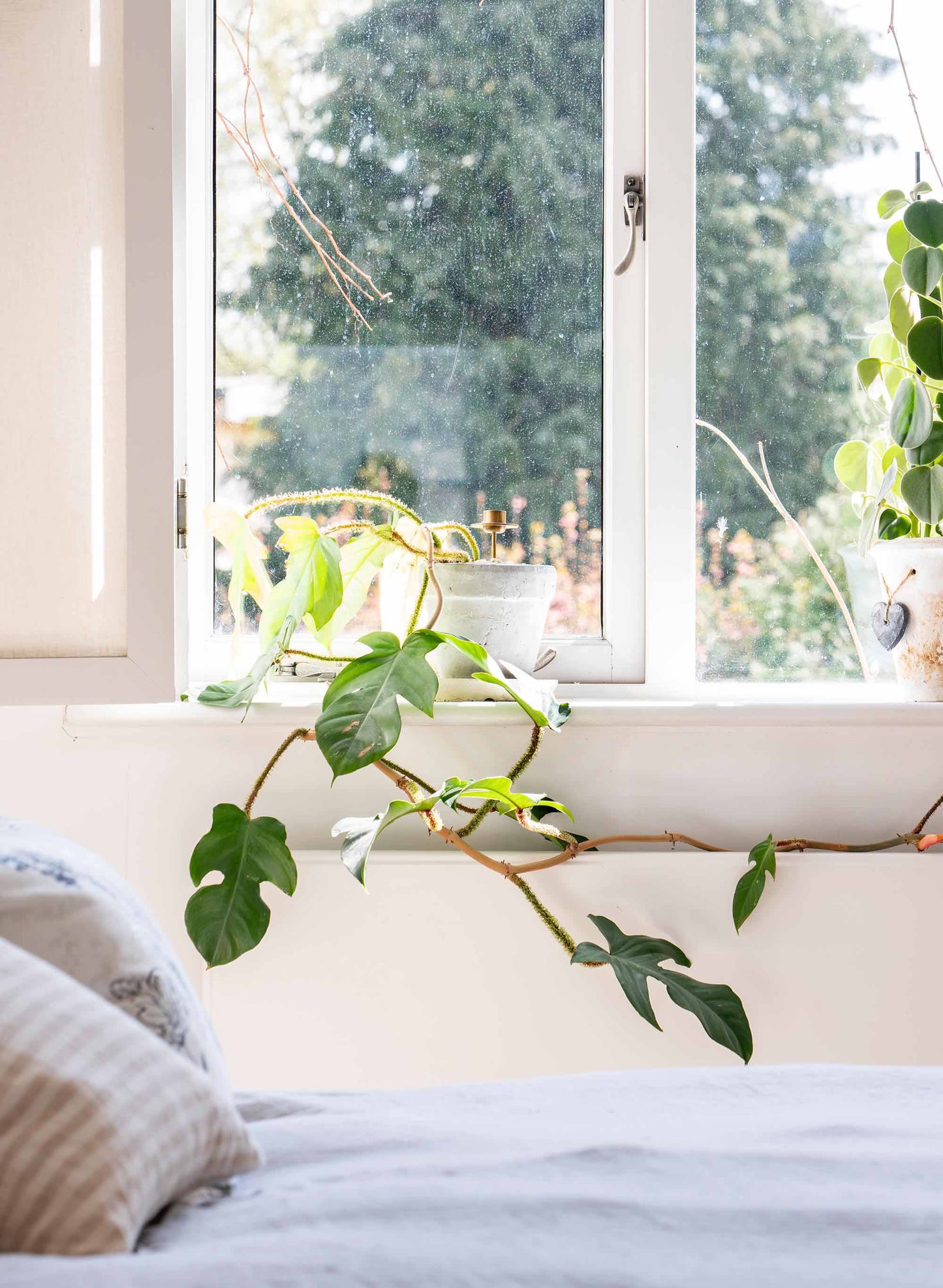 From The Anvil Peardrop Fastener