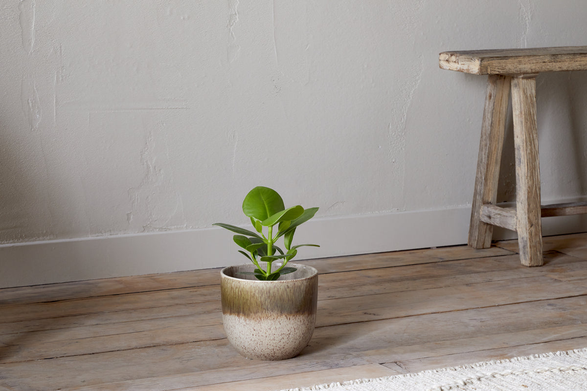 Nkuku Almeida Reactive Glaze Plant Pot Olive & Natural