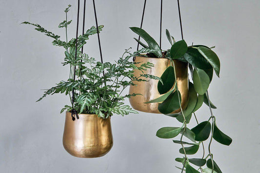 Nkuku Atsu Brass Hanging Planter