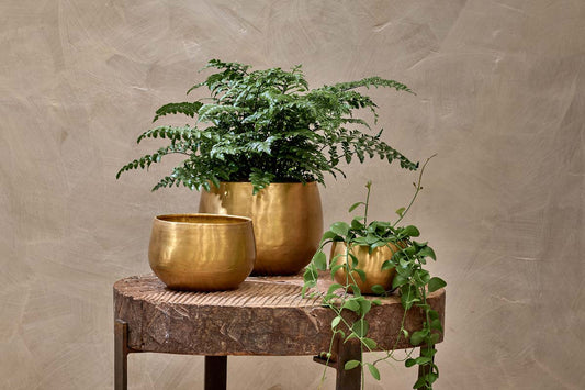Nkuku Atsu Brass Planter