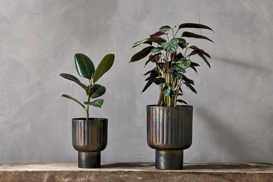 Nkuku Dasalla Planter Aged Brass