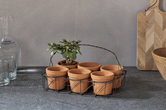 Nkuku Dilipa Terracotta Multi Planter Terracotta