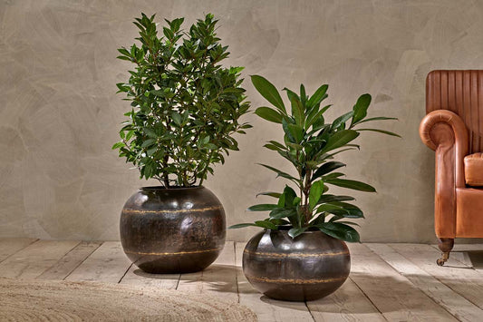 Nkuku Endo Reclaimed Iron Globe Planter