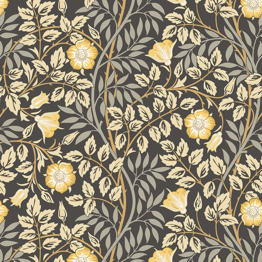 Hoopla Walls Rosehip Trail Chalkboard