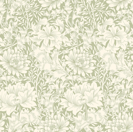 Hoopla Walls Chrysanthemum Sage Green