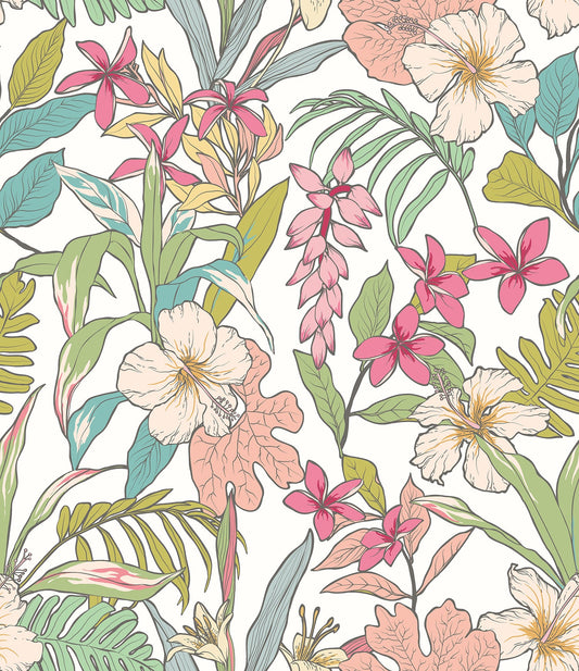 Hoopla Walls Oasis Apple Rose