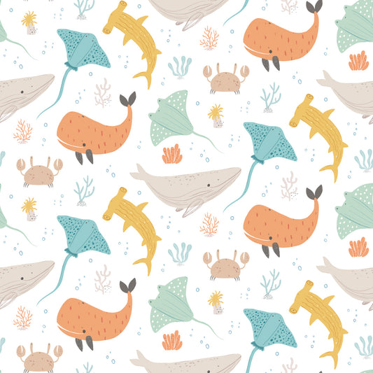 Hoopla Walls Ocean Adventure Seafoam Spice