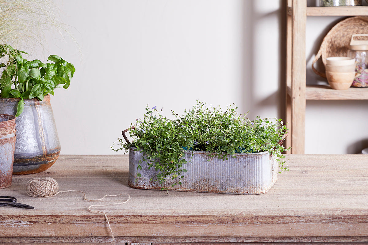 Nkuku Japos Outdoor Planter Tray Aged Zinc