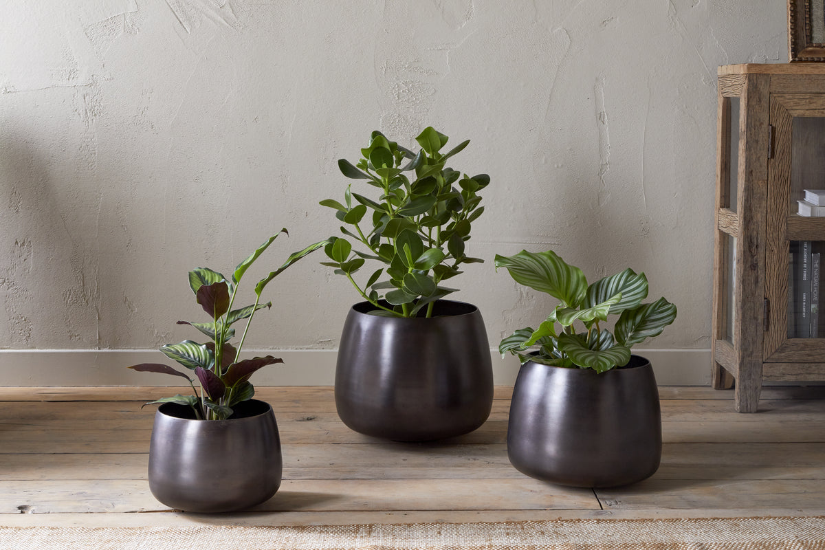 Nkuku Maliki Plant Pot Aged Bronze