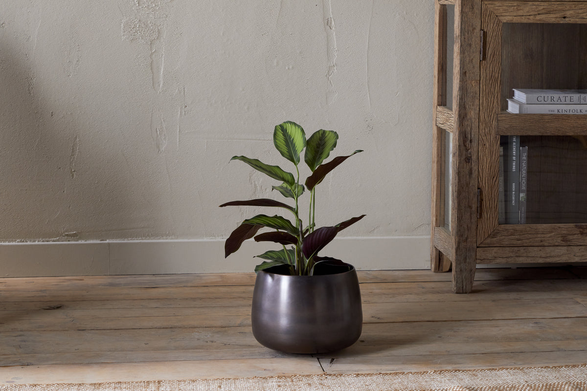 Nkuku Maliki Plant Pot Aged Bronze