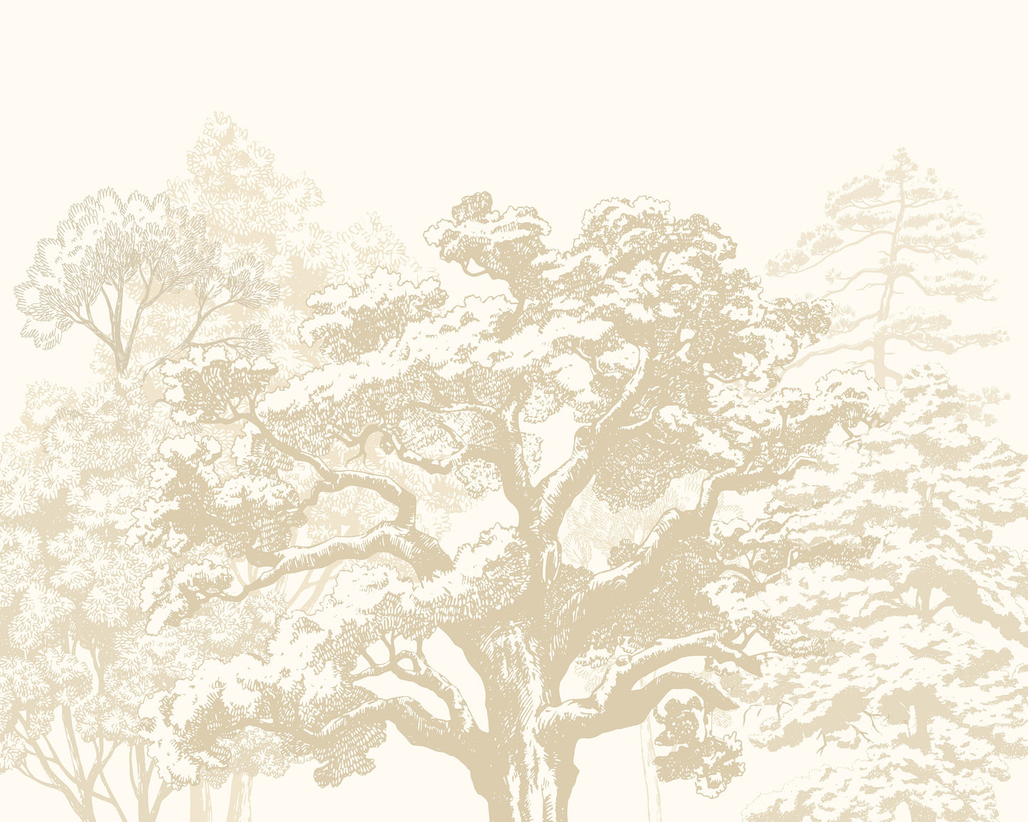 Origin Murals Etched Trees Parchment 300cm X 240cm