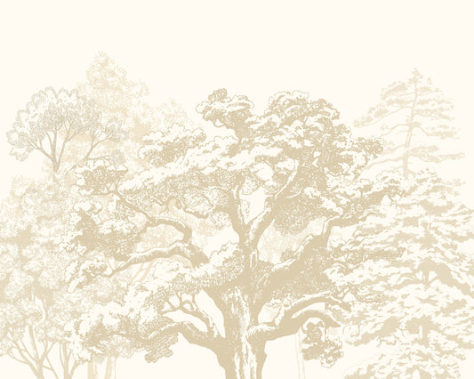 Origin Murals Etched Trees Parchment 300cm X 240cm