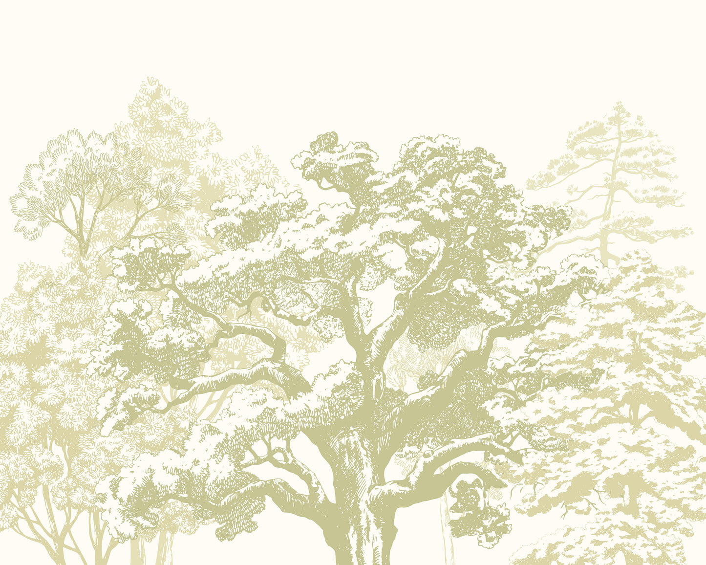 Origin Murals Etched Trees Apple Green 350cm X 280cm