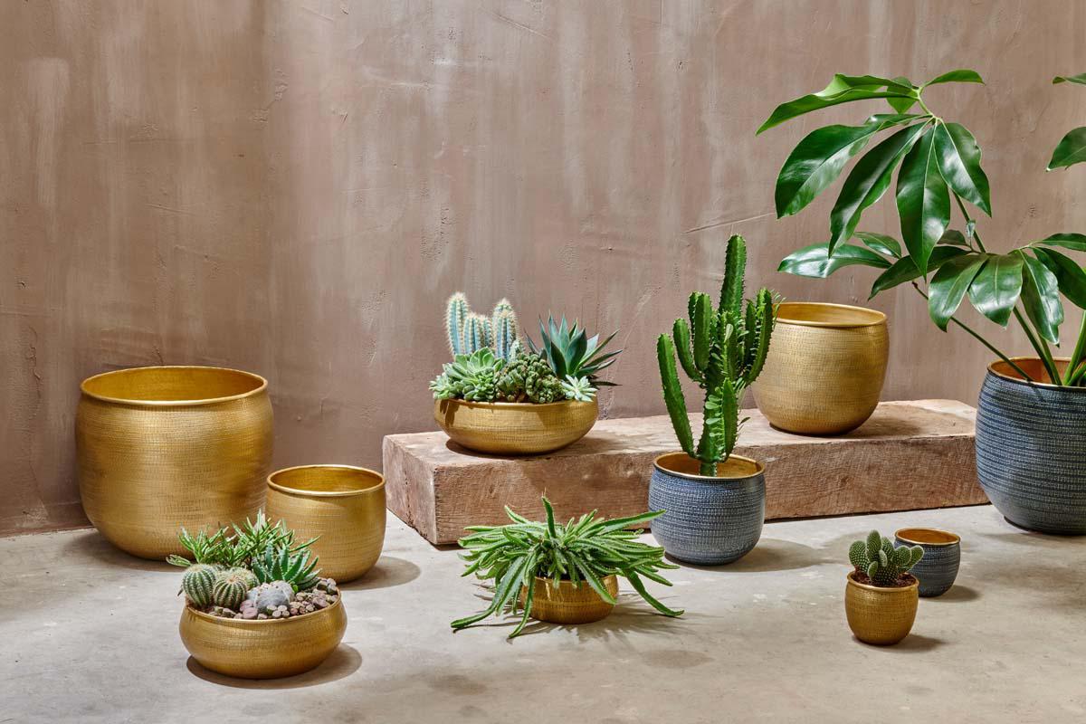 Nkuku Tembesi Etched Planter Antique Brass
