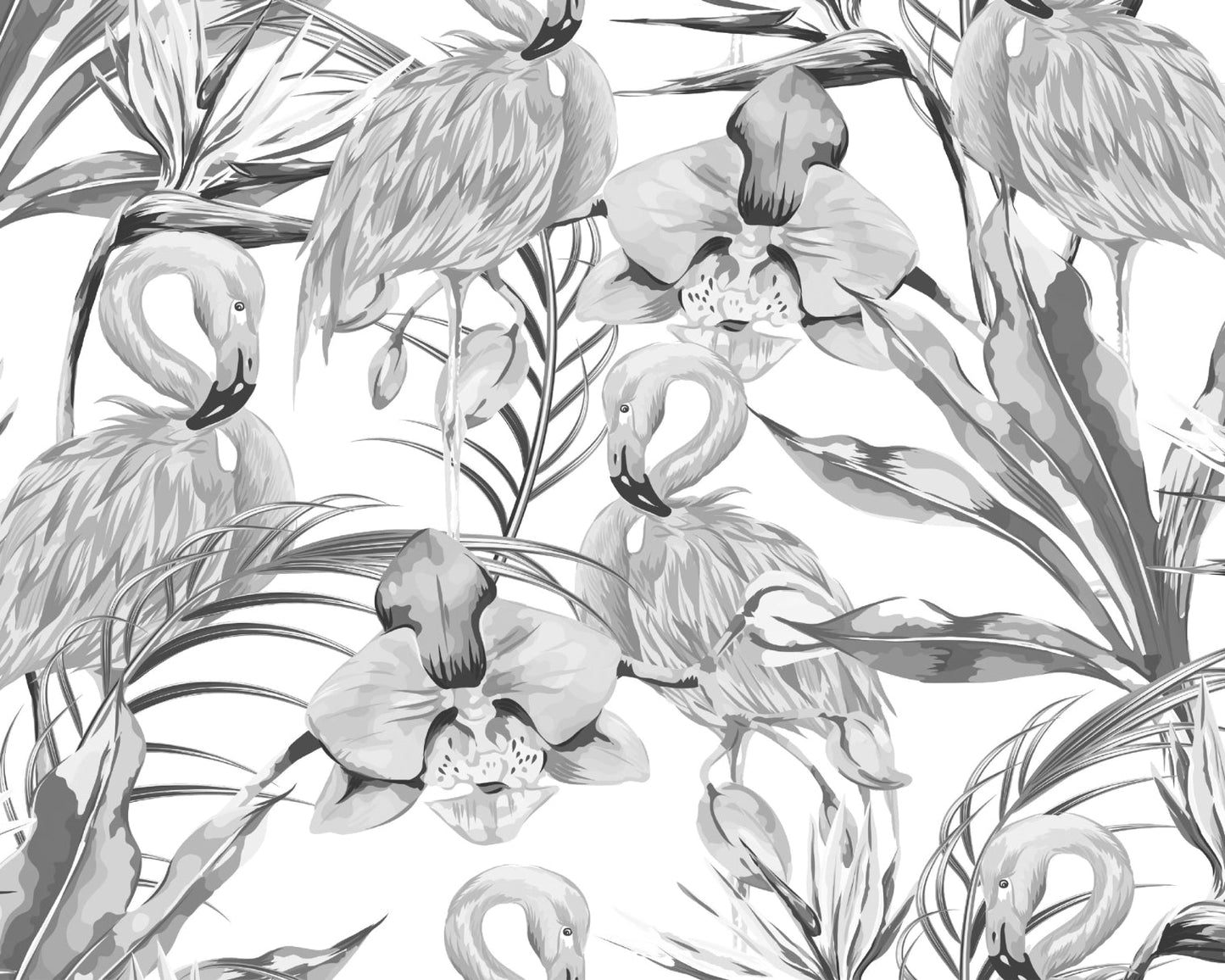 Origin Murals Paradise Flamingo Noir 300cm X 240cm