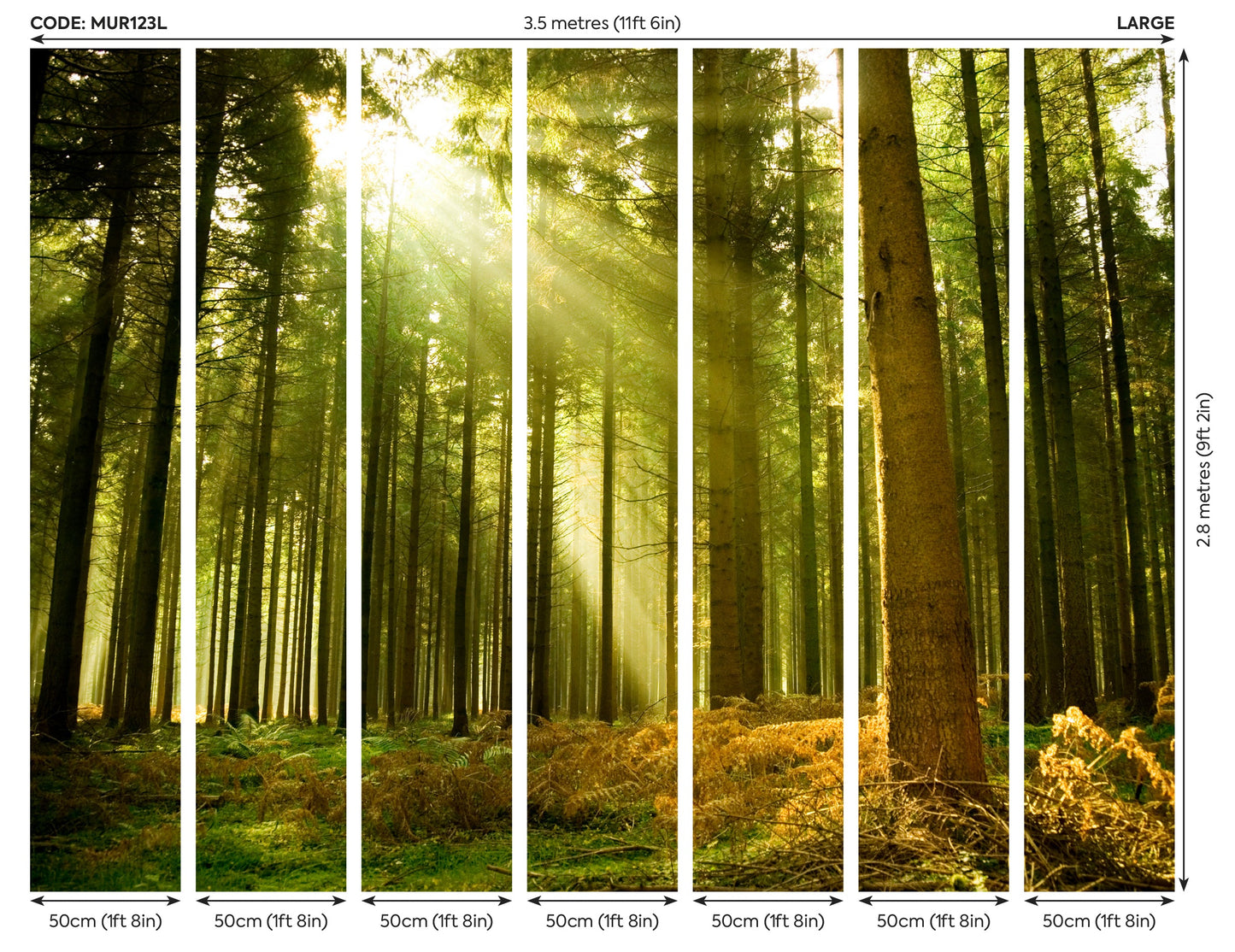 Origin Murals Spruce Forest Evergreen 350cm X 280cm