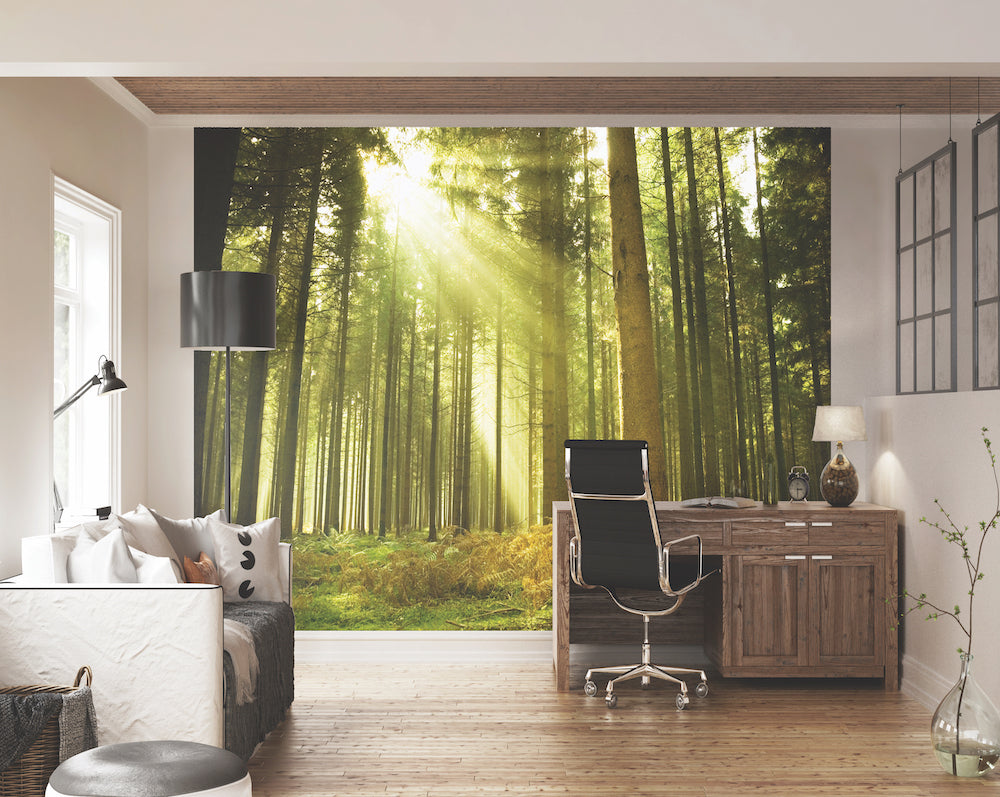 Origin Murals Spruce Forest Evergreen 350cm X 280cm