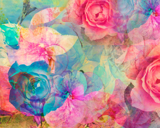 Origin Murals Memories Multi 350cm X 280cm