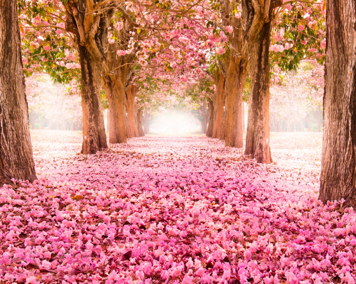 Origin Murals Blossom Trees Rose Pink 300cm X 240cm