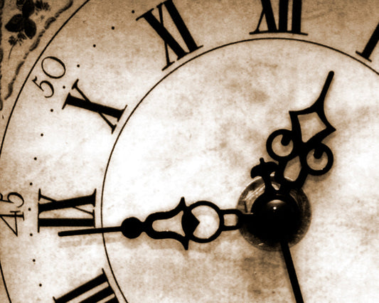 Origin Murals Timepiece Sepia 300cm X 240cm