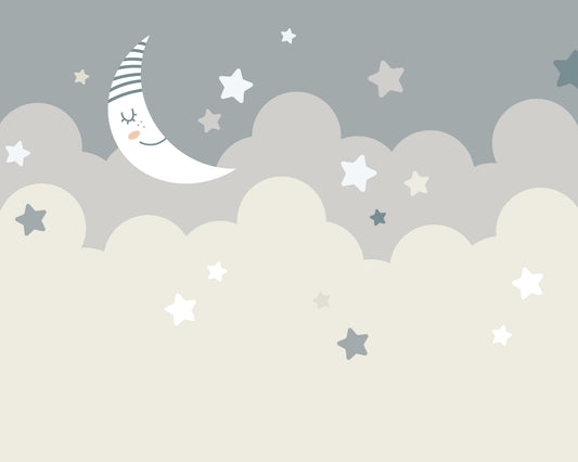 Origin Murals Nighttime Childrens Sky Dove Grey 300cm X 240cm