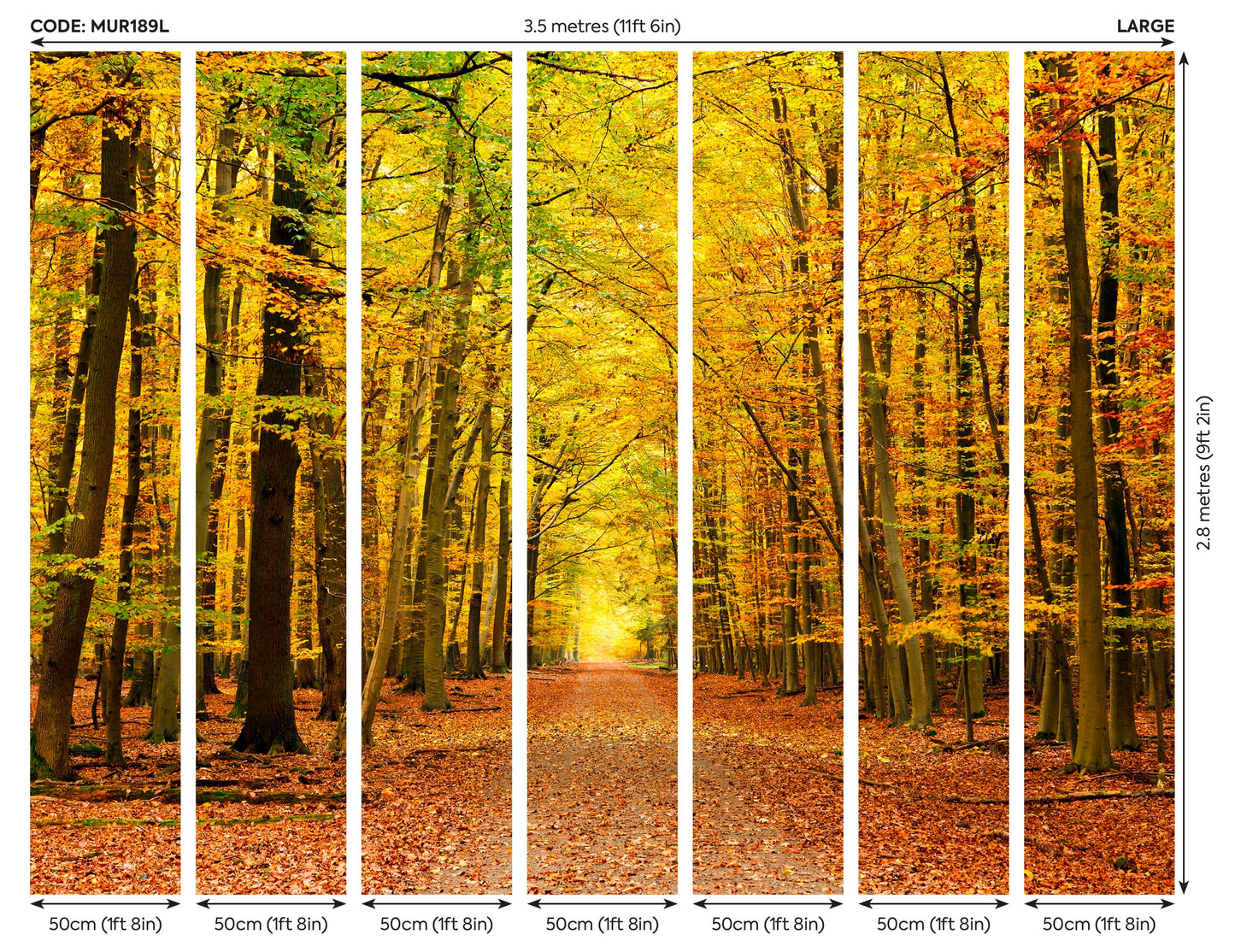 Origin Murals Autumn Forest Spice 350cm X 280cm