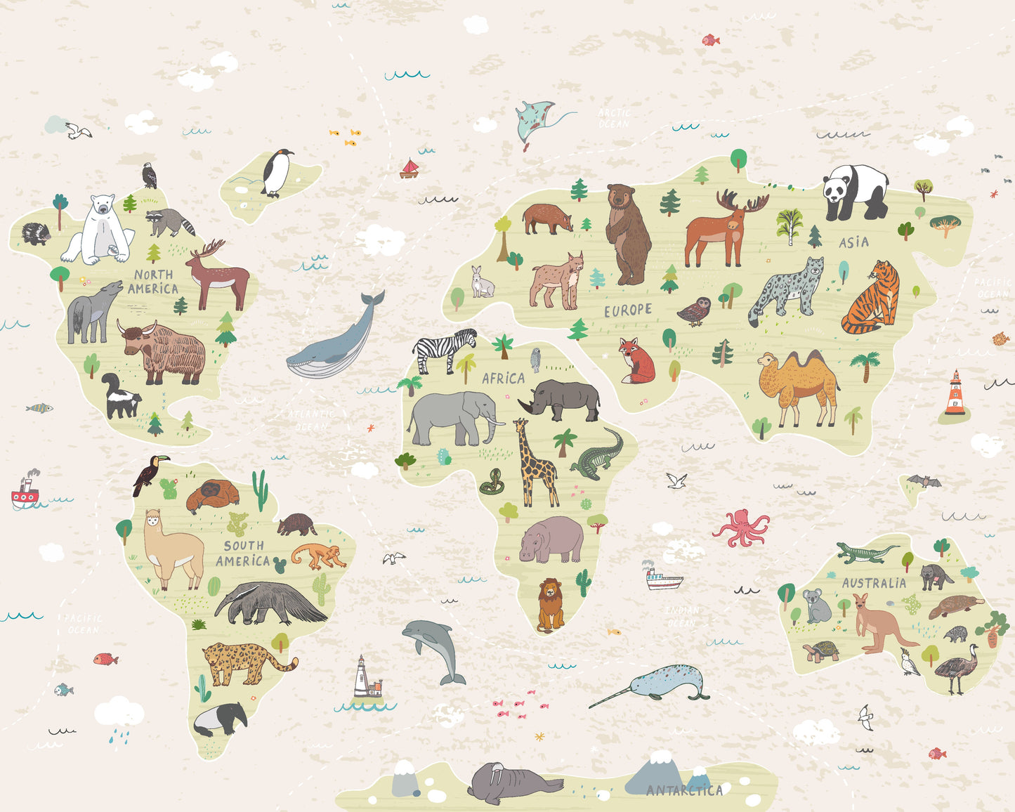Origin Murals Childrens World Map Natural 300cm X 240cm