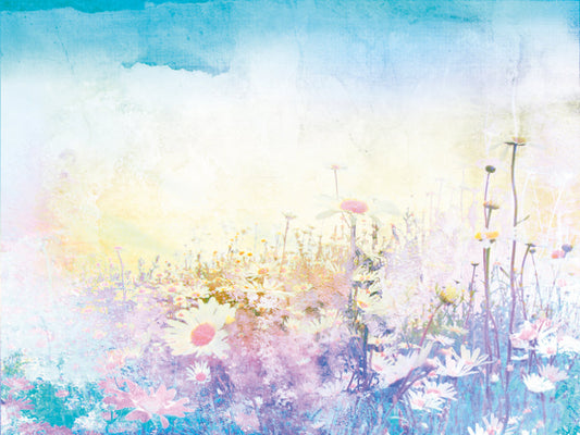 Origin Murals Daisy Meadow Purple 300cm X 240cm