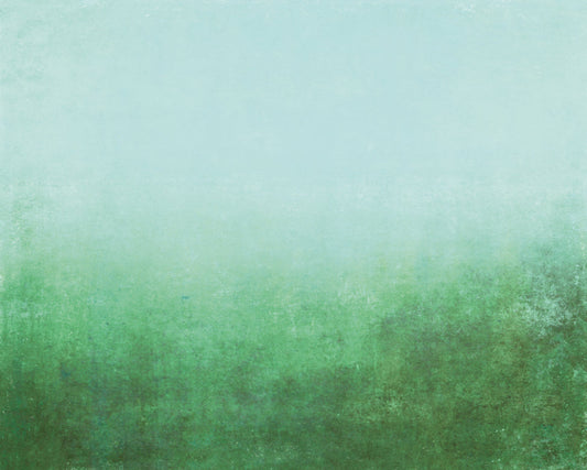 Origin Murals Ombre Gradient Green 350cm X 280cm