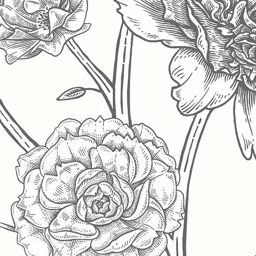 Origin Murals Jacobean Rose Trail Black White 350cm X 280cm