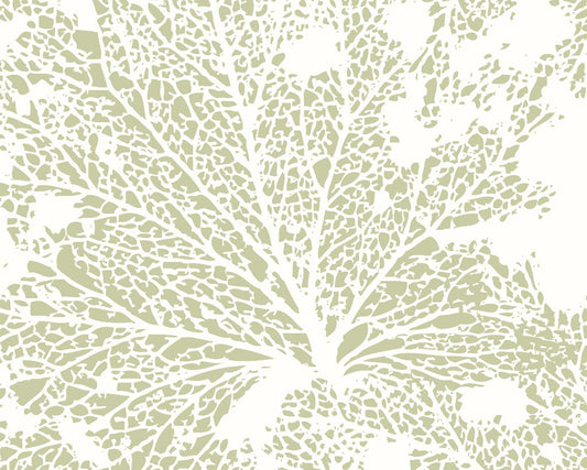 Origin Murals Skeleton Leaf Sage Green 350cm X 280cm