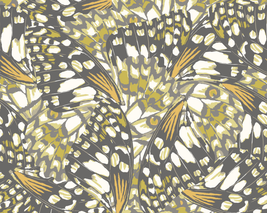 Origin Murals Butterfly Wings Black Olive Green 300cm X 240cm