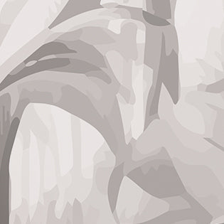 Origin Murals Jungle Trees Black White 300cm X 240cm