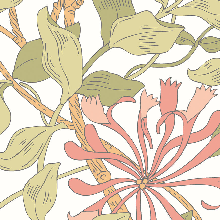 Origin Murals Honeysuckle Soft Coral 350cm X 280cm