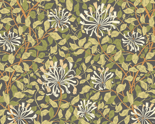 Origin Murals Honeysuckle Black And Olive Green 350cm X 280cm