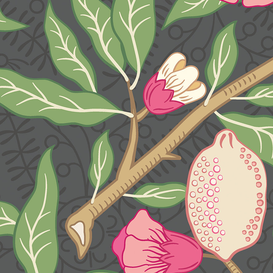 Origin Murals Fruit And Foliage Black And Rose Pink 350cm X 280cm