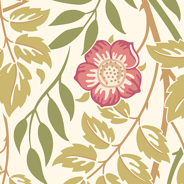 Origin Murals Cascading Rosehip Rose Pink 350cm X 280cm