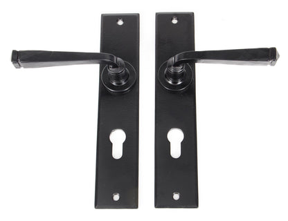 From The Anvil Large Avon Lever Euro Lock Set