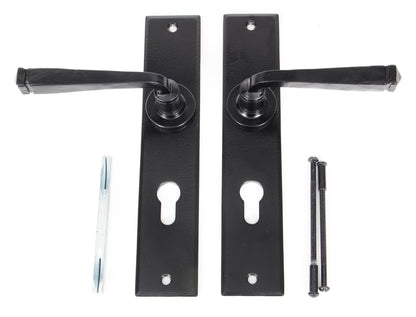 From The Anvil Large Avon Lever Euro Lock Set