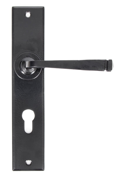 From The Anvil Large Avon Lever Euro Lock Set