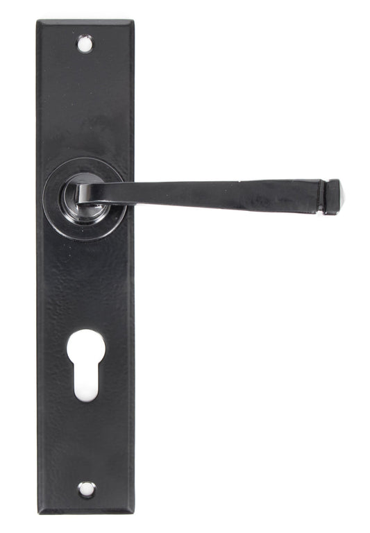 From The Anvil Large Avon Lever Euro Lock Set