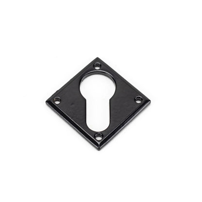From The Anvil Diamond Euro Escutcheon
