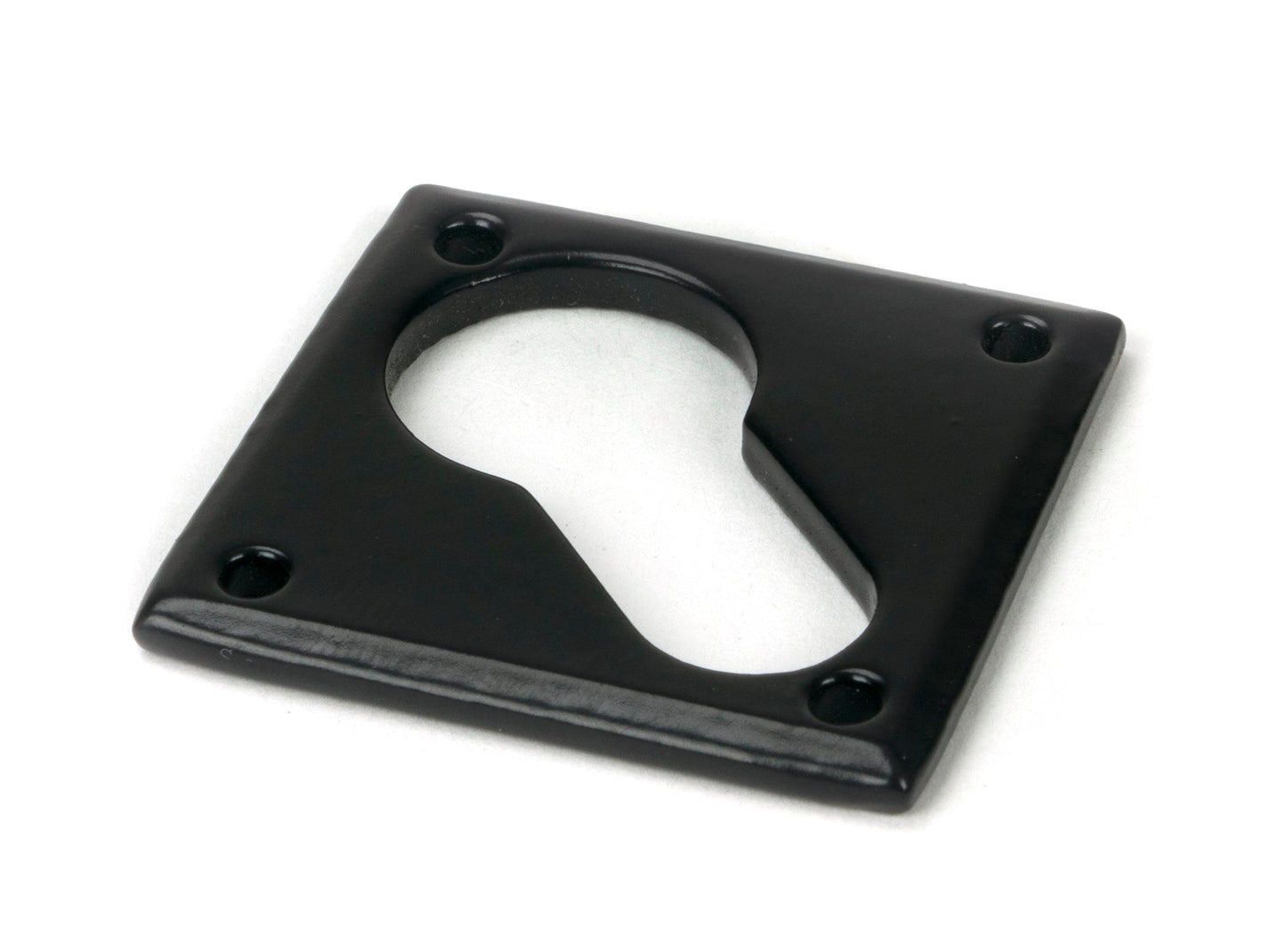 From The Anvil Diamond Euro Escutcheon